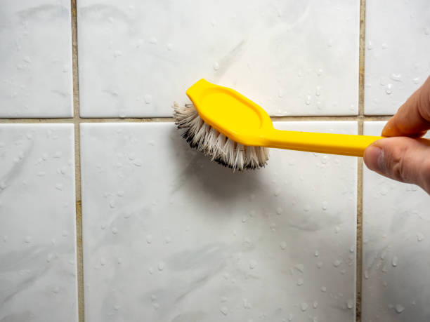 Best Preventive Mold Services in Ledgewood, NJ