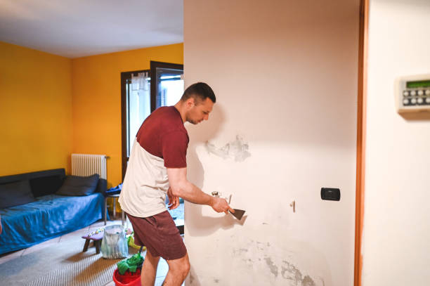 Best DIY Mold Remediation Support Services in Ledgewood, NJ